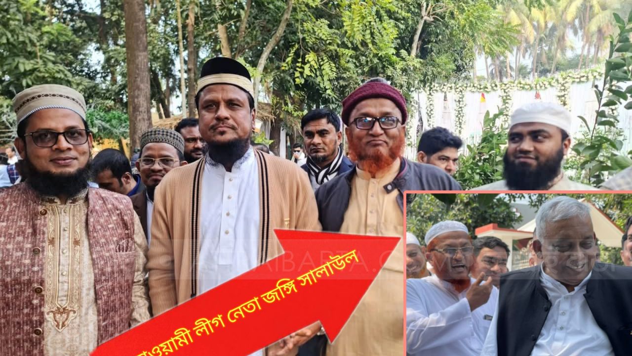 আন্তর্জাতিক জঙ্গি সম্পৃক্ত হাফেজ সালাউল ও আওয়ামী লীগ নেতা পাহাড় কাটা ও জমি দখলের সিন্ডিকেটে কক্সবাজারে পরিবেশ বিপর্যয়