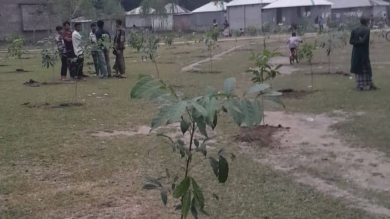 ডিমলায় শতবর্ষী গাছবাড়ি খেলার মাঠ ৬ ঘন্টায় দখল মুক্ত হল 