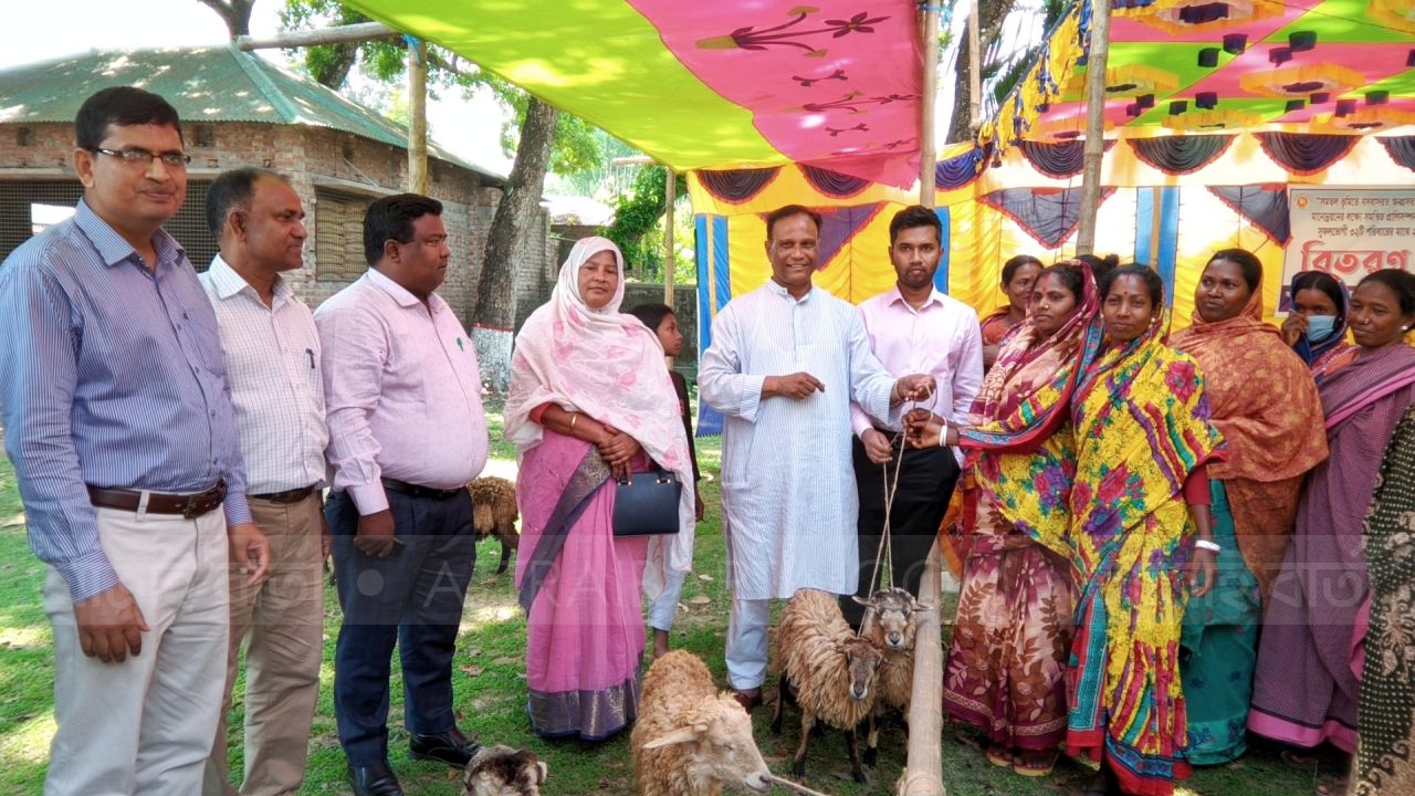 খানসামায় ৩২টি ক্ষুদ্র নৃ-গোষ্ঠী পরিবার পেল উন্নত জাতের ভেড়া