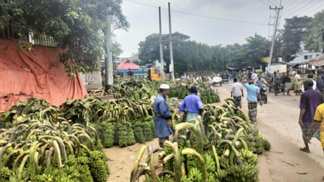 দেশের চাহিদা মেটাচ্ছে পাহাড়ে উৎপাদিত কলা